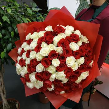Букет из 101 розы (красные и белые розы) код товара   138429