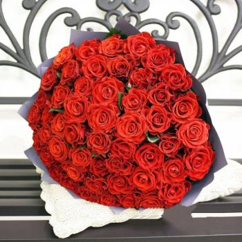 Красная роза Эквадор 51 шт №: 241299iz